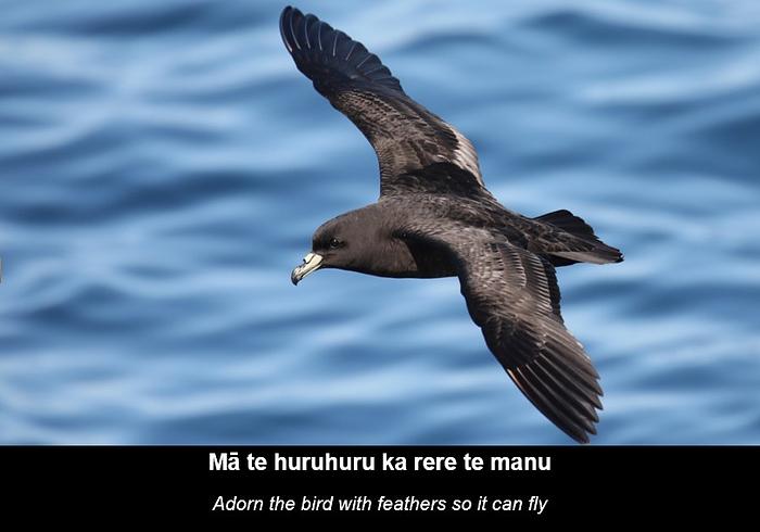 NZEI Te Riu Roa Rural Teaching Principals Conference 2026 logo